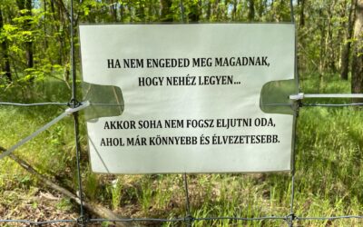 2025/35 Napkor-Máriapócs