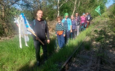 2026/11 Szentkút – Csíksomlyó (Nyírszőlős -Napkor)